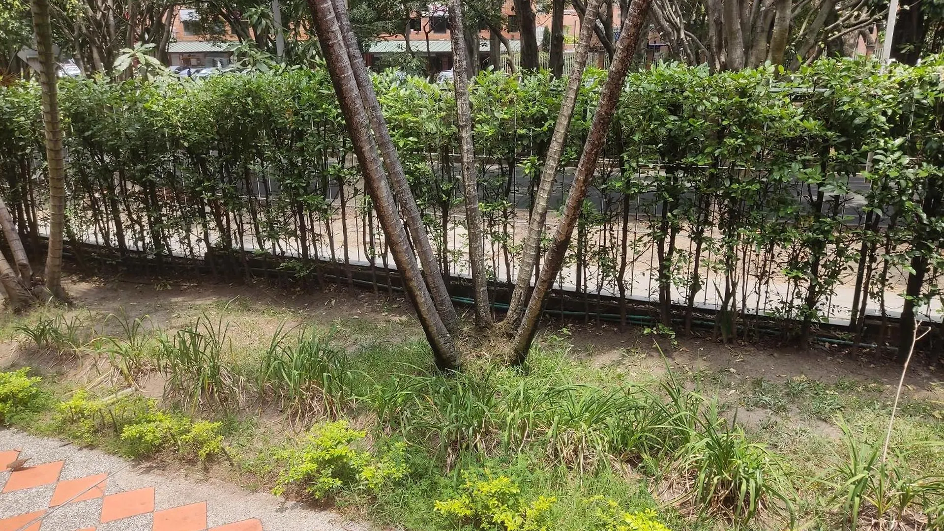 公寓 麦德林Hogar Dulce Hogar公寓